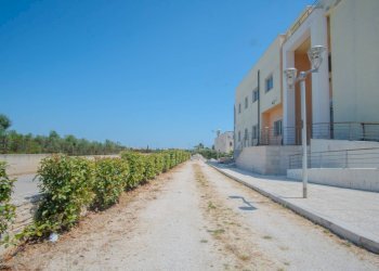 Foto 19 - Stabile - Palazzo Strada Esterna La Logna
 
Sn, Corato - foto 19