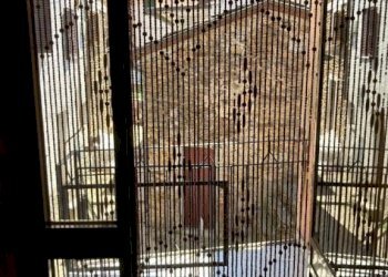 Ingresso - Three-room apartment via dei Colli, Massa - photo 1