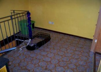 Disimpegno - Three-room apartment via dei Colli, Massa - photo 3