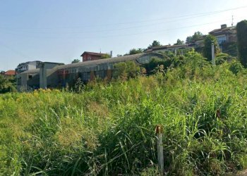 Giardino - Capannone VIA CARDUCCI, Dormelletto - foto 4