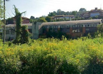 Giardino - Capannone VIA CARDUCCI, Dormelletto - foto 5