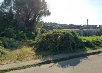 Giardino - Capannone VIA CARDUCCI, Dormelletto - foto 7