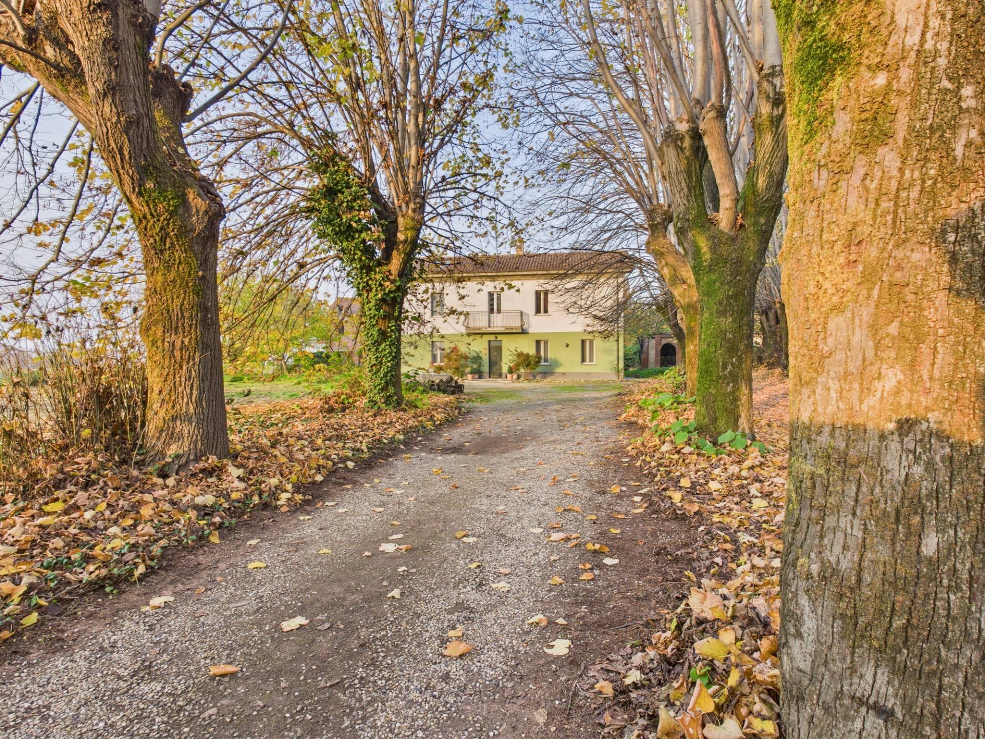 Casa all\'aperto - Casa indipendente VIA MATTEOTTI
 
1, Sartirana Lomellina - foto 1
