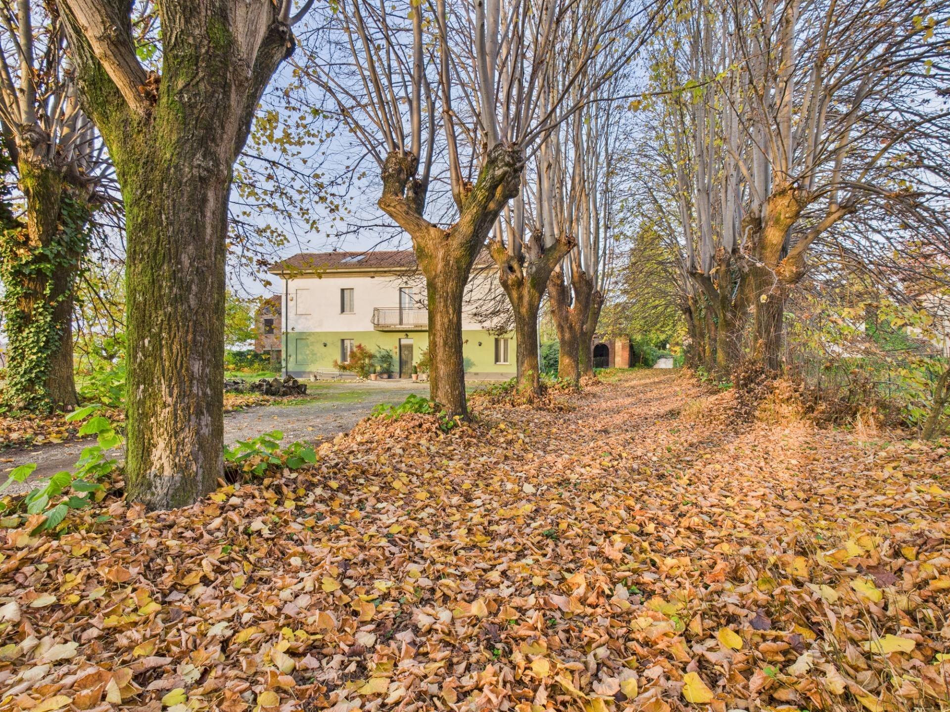Giardino - Casa indipendente VIA MATTEOTTI
1, Sartirana Lomellina - foto 2