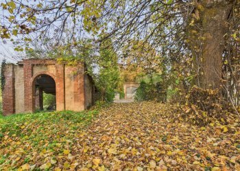 Giardino - Casa indipendente VIA MATTEOTTI
 
1, Sartirana Lomellina - foto 16
