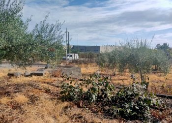 Vista delle montagne - Terreno agricolo Strada 86 San Leonardello
 
snc, Giarre - foto 6