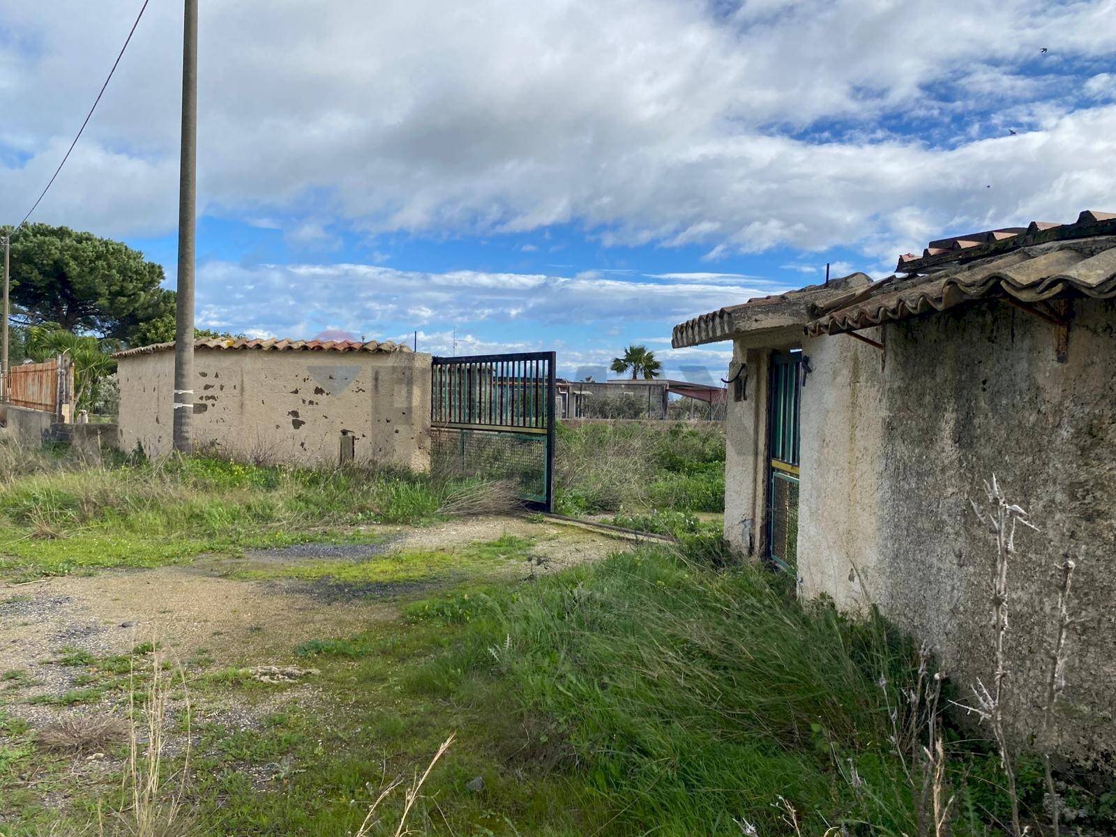Giardino - Terreno agricolo Contrada San Calogero/Contrada Contadello
 
snc, Augusta - foto 3