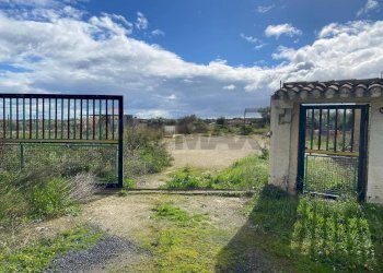 Giardino - Terreno agricolo Contrada San Calogero/Contrada Contadello
 
snc, Augusta - foto 2