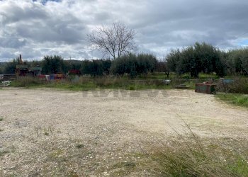 Giardino - Terreno agricolo Contrada San Calogero/Contrada Contadello
 
snc, Augusta - foto 13