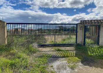 Giardino - Terreno agricolo Contrada San Calogero/Contrada Contadello
 
snc, Augusta - foto 14