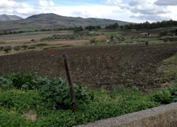 Vista delle montagne - Terreno edificabile Via Firenze
 
snc, Buseto Palizzolo - foto 7