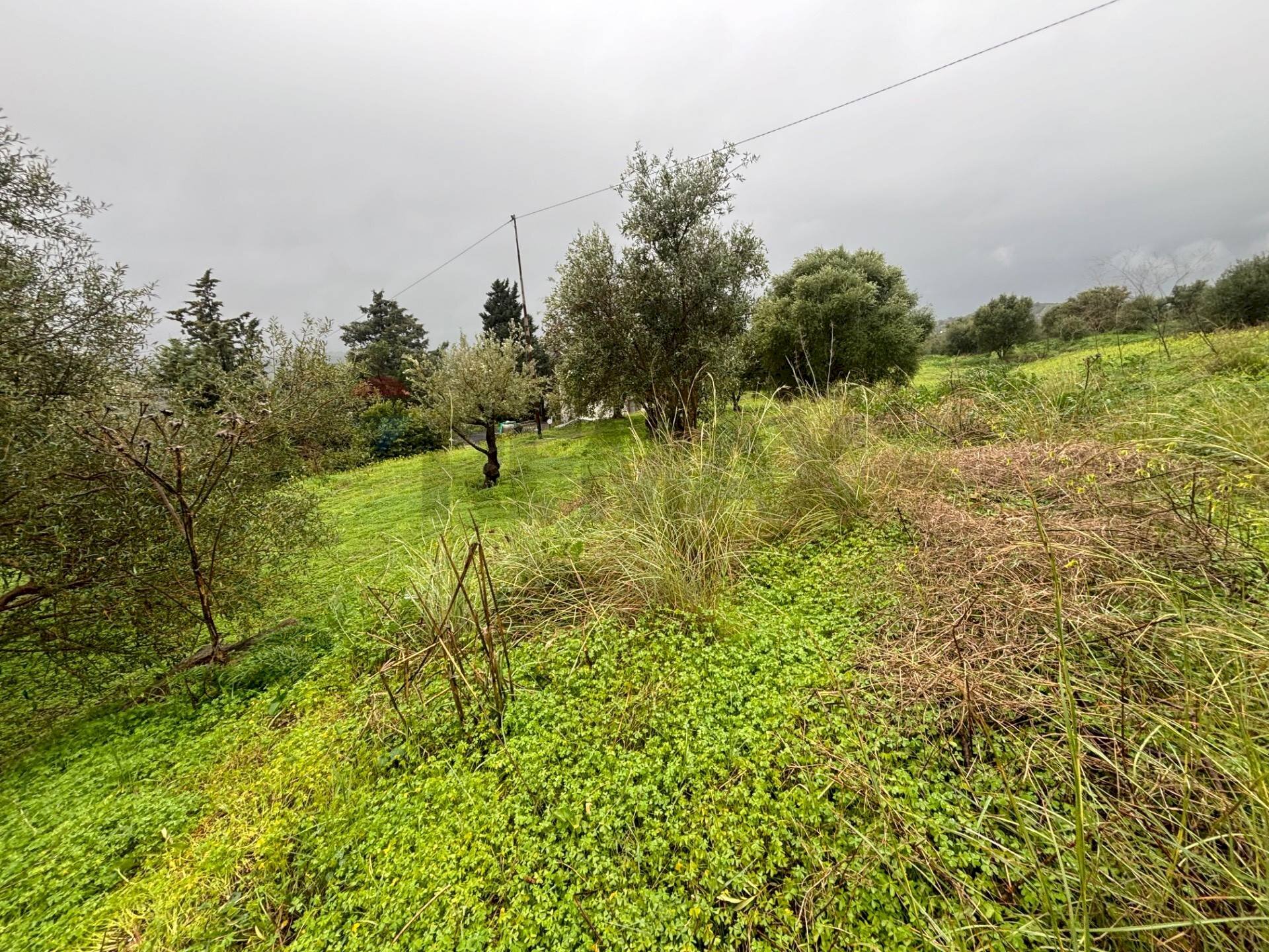 Giardino - Agricultural land cda sabuci
 
Sn, Carlentini - photo 1