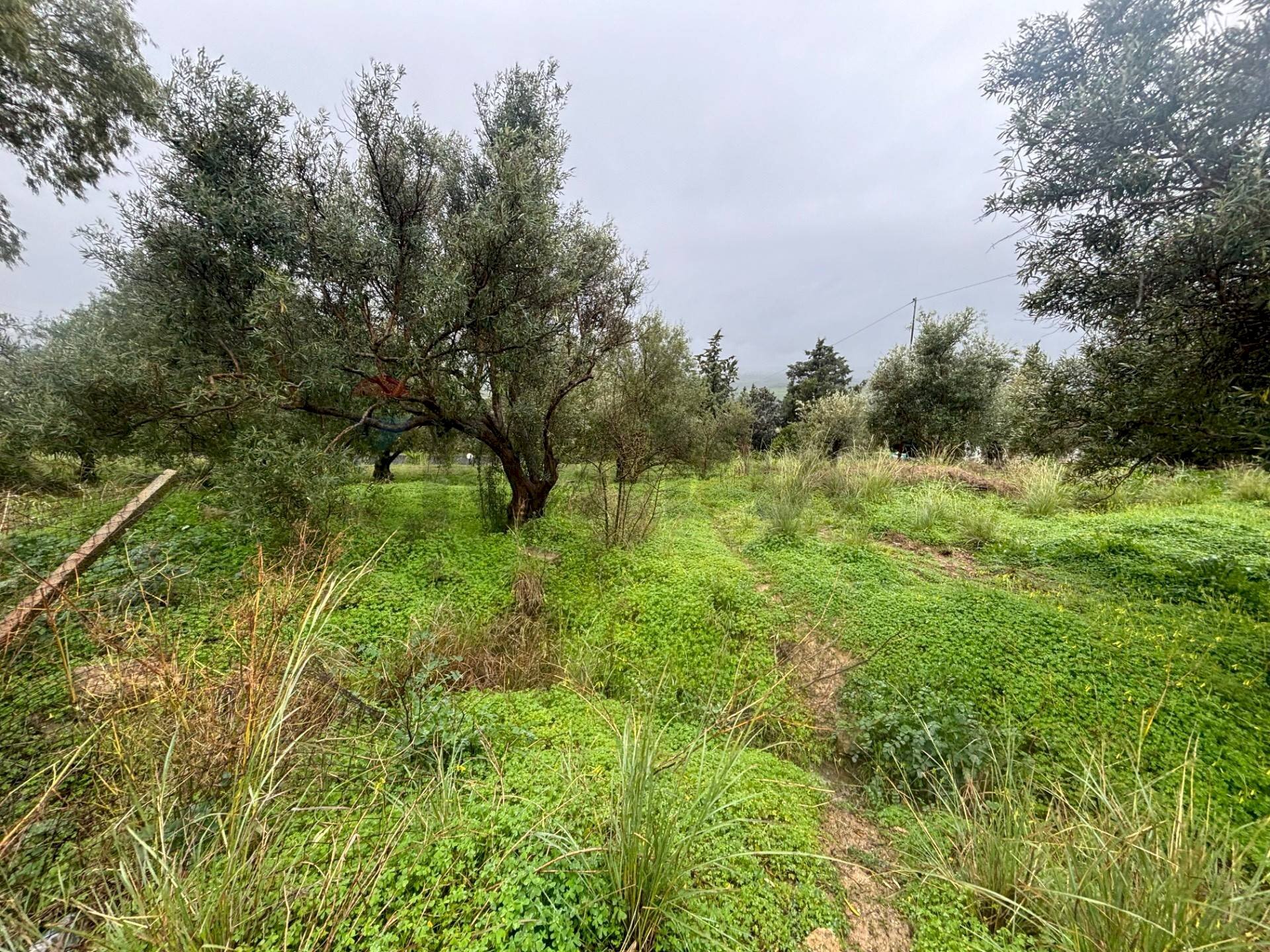 Giardino - Agricultural land cda sabuci
 
Sn, Carlentini - photo 2