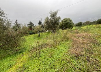 Giardino - Agricultural land cda sabuci
 
Sn, Carlentini - photo 1