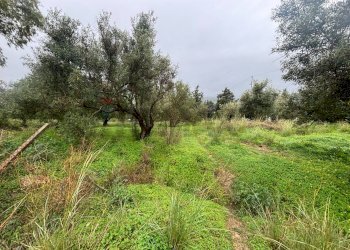 Giardino - Agricultural land cda sabuci
 
Sn, Carlentini - photo 2