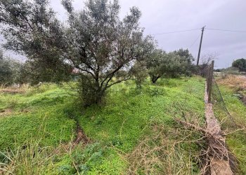 Giardino - Agricultural land cda sabuci
 
Sn, Carlentini - photo 5