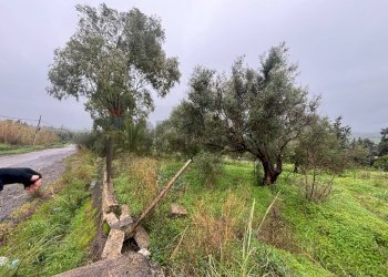 Giardino - Agricultural land cda sabuci
 
Sn, Carlentini - photo 6