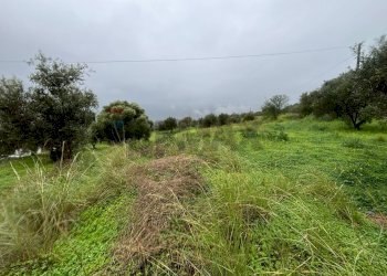 Giardino - Agricultural land cda sabuci
 
Sn, Carlentini - photo 7