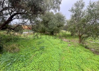 Giardino - Agricultural land cda sabuci
 
Sn, Carlentini - photo 8