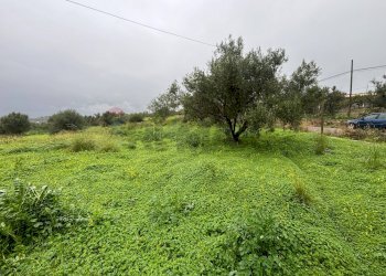 Giardino - Agricultural land cda sabuci
 
Sn, Carlentini - photo 9