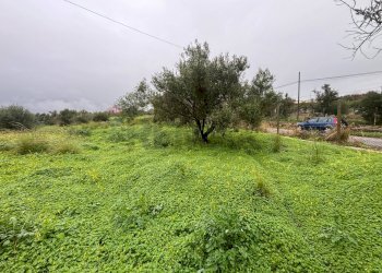 Giardino - Agricultural land cda sabuci
 
Sn, Carlentini - photo 10