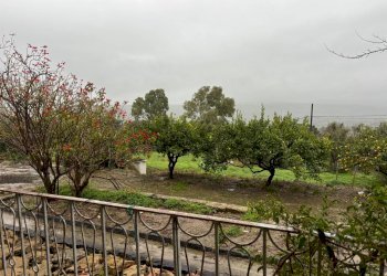 Giardino - Agricultural land cda sabuci
 
Sn, Carlentini - photo 14