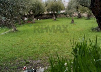 Giardino - Rustico via Resistenza Partigiana
 
snc, Modica - foto 8