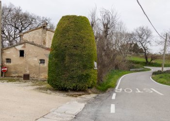 Casa all\'aperto - Terreno agricolo Osimo - foto 4