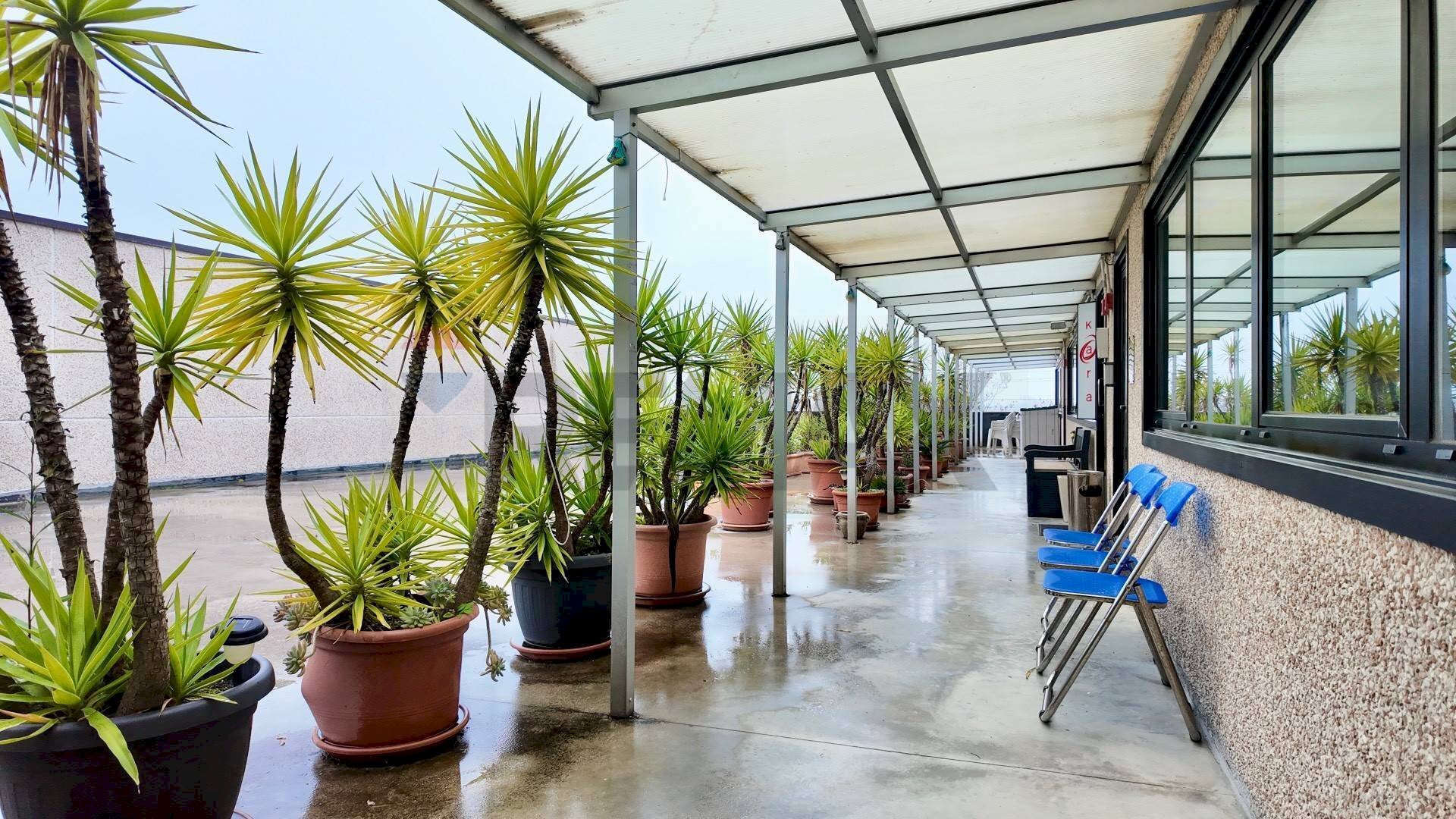 Terrazza - Ufficio Via Del Consorzio
 
2, Falconara Marittima - foto 3