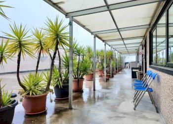 Terrazza - Ufficio Via Del Consorzio
 
2, Falconara Marittima - foto 3