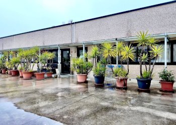 Terrazza - Ufficio Via Del Consorzio
 
2, Falconara Marittima - foto 4