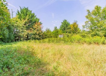 Giardino - Terreno agricolo Via Lucca, Cairate - foto 3