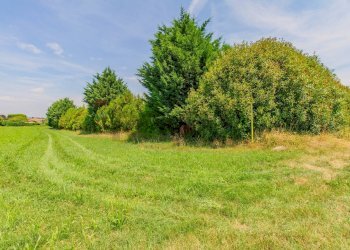 Giardino - Terreno agricolo Via Lucca, Cairate - foto 5