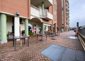 Foto 8 - Azienda agricola Via Custodi
 
11, Gallarate - foto 8