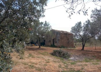 Giardino - Terreno agricolo contrada Mortaro
 
snc, Partinico - foto 2