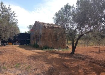Giardino - Terreno agricolo contrada Mortaro
 
snc, Partinico - foto 4