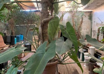 Foto 3 - Magazzino via Pantelleria
108, Trapani - foto 3