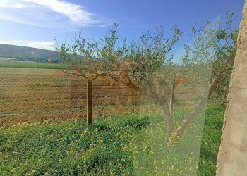 Vista delle montagne - Villa contrada  purrazzito
 
snc, Comiso - foto 5