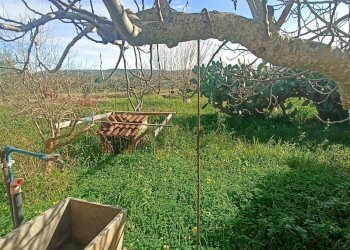 Giardino - Villa contrada  purrazzito
 
snc, Comiso - foto 8