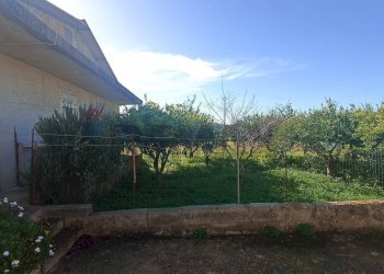 Giardino - Villa contrada  purrazzito
 
snc, Comiso - foto 13