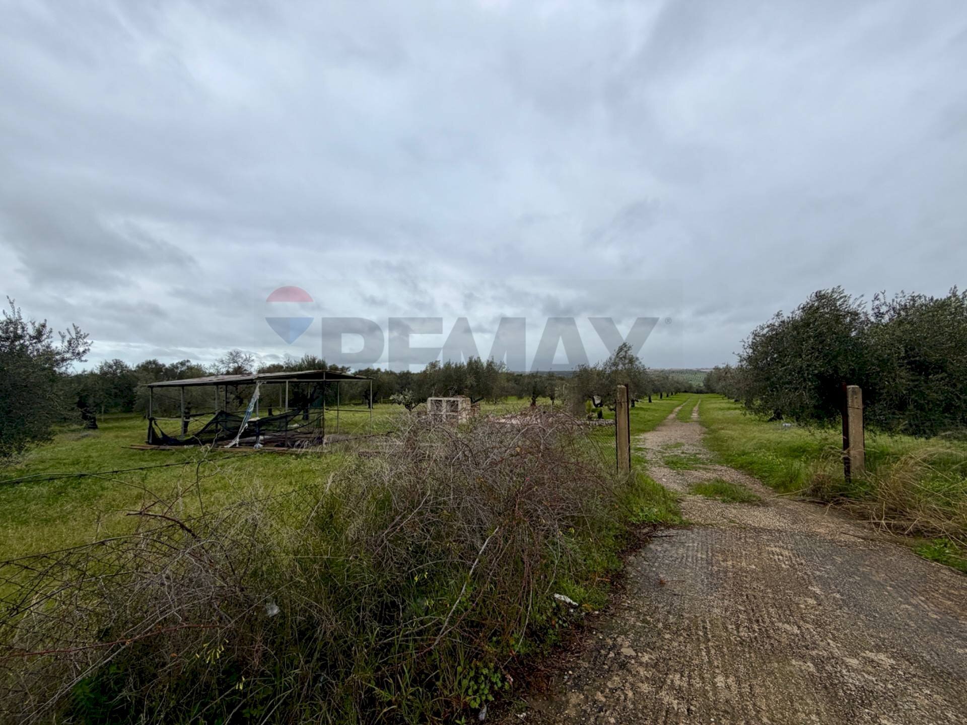Giardino - Agricultural land C.da Scornavacche, Chiaramonte Gulfi - photo 2