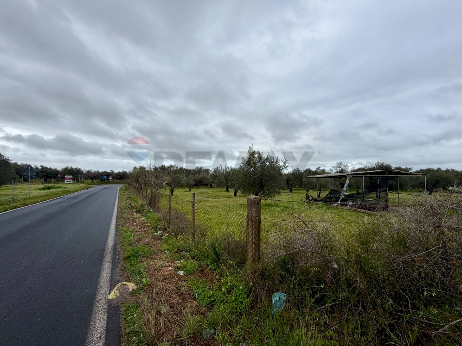 Giardino - Agricultural land C.da Scornavacche, Chiaramonte Gulfi - photo 3