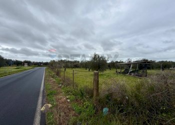 Giardino - Terreno agricolo C.da Scornavacche, Chiaramonte Gulfi - foto 3