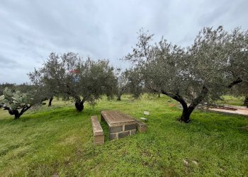 Giardino - Terreno agricolo C.da Scornavacche, Chiaramonte Gulfi - foto 8