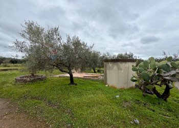 Giardino - Terreno agricolo C.da Scornavacche, Chiaramonte Gulfi - foto 9