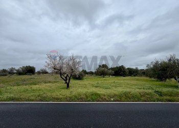 Giardino - Terreno agricolo C.da Scornavacche, Chiaramonte Gulfi - foto 13