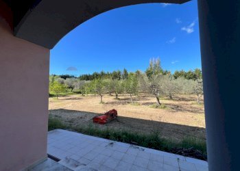 Giardino - Casa indipendente Venosa - foto 19