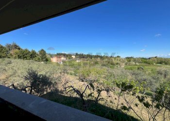 Vista delle montagne - Casa indipendente Venosa - foto 23