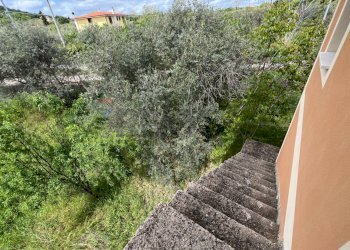 Giardino - Villa Contrada San Giorgio, Venosa - foto 14