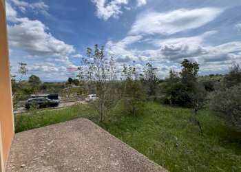 Giardino - Villa Contrada San Giorgio, Venosa - foto 23